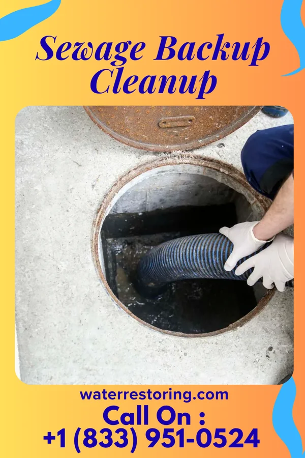 Sewage Backup Cleanup in Indian River Shores, FL